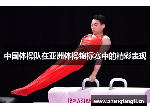 中国体操队在亚洲体操锦标赛中的精彩表现
