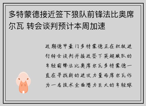 多特蒙德接近签下狼队前锋法比奥席尔瓦 转会谈判预计本周加速